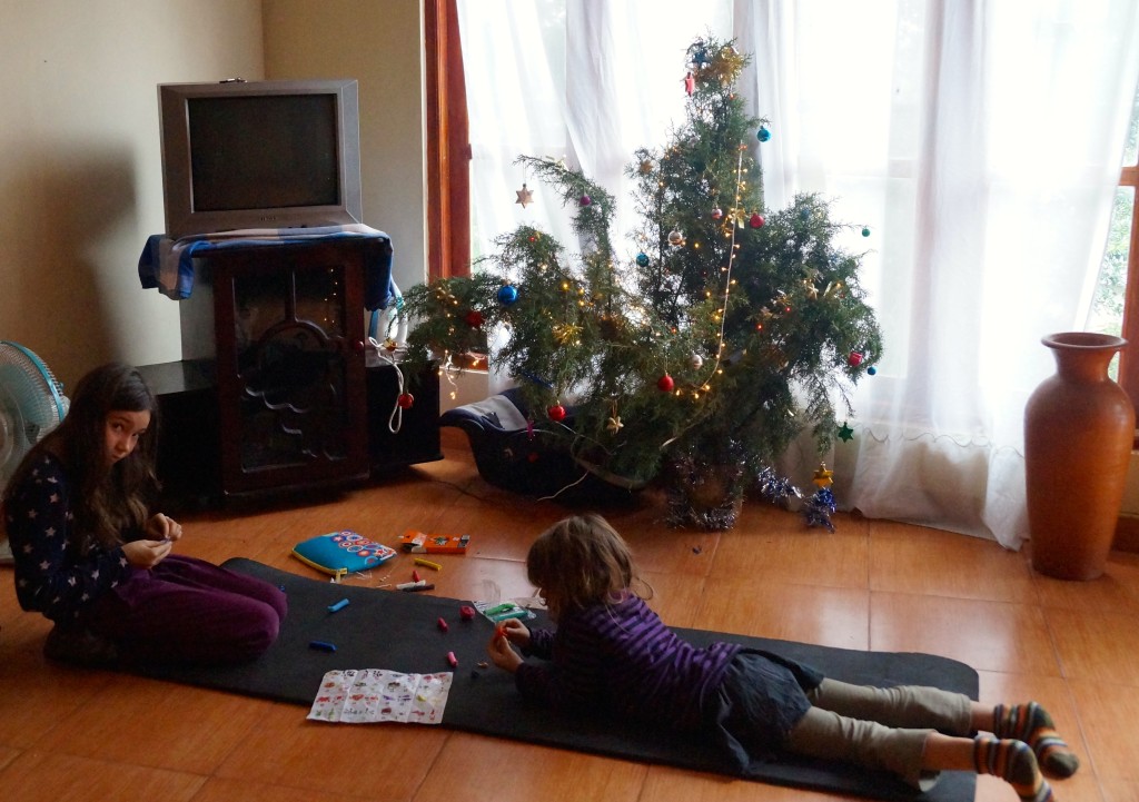 unser Weihnachtsbaum